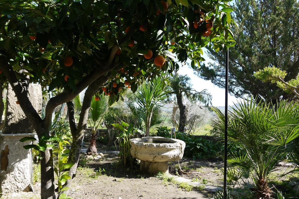 Casa Vacanze Laura Villa Caltanissetta Buitenkant foto
